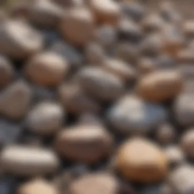 Diverse Rock Collection in Backyard A variety of rocks found in a backyard setting
