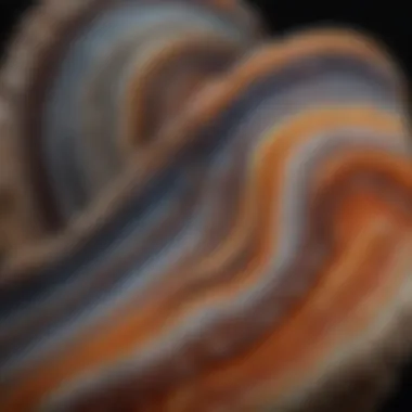 Unique Banding Patterns of Agate A striking specimen of agate showcasing its unique banding patterns