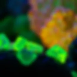 A close-up view of fluorescent materials glowing under black light