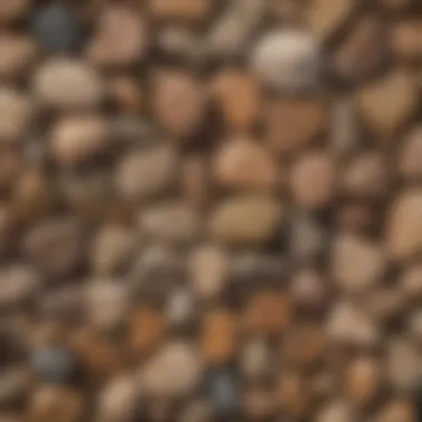 Unique Textures of Brown Stones A close-up of various brown stones showcasing their unique textures and colors.