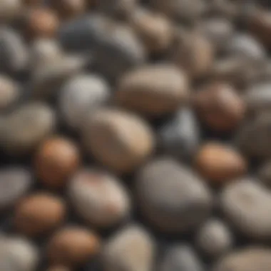 Various free boulders displayed in a collection, each representing diverse geological origins.