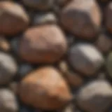 A close-up of a unique free boulder showcasing its intricate textures and colors.