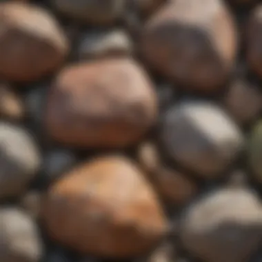 Unique Textures of Free Boulders A close-up of a unique free boulder showcasing its intricate textures and colors.
