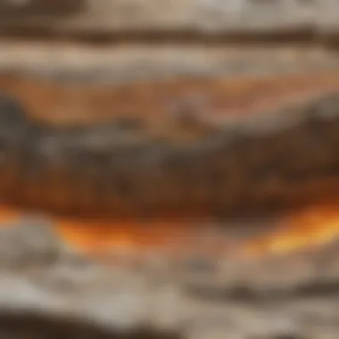 Geological Cross-Section of Limestone Deposits A geological cross-section illustrating limestone deposits