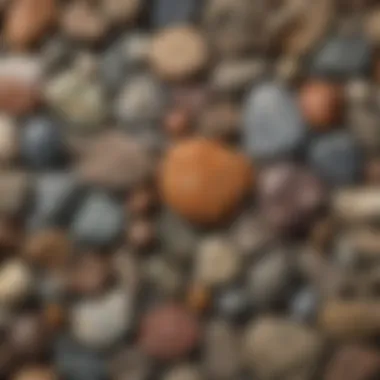 A Diverse Collection of Rock Specimens A diverse collection of rock specimens showcasing various types and textures.