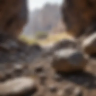 A Scenic Location for Rock Collecting A scenic outdoor location ideal for rock collecting and exploration.