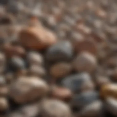 Named Geological Collection A collection of geological rocks labeled with their names