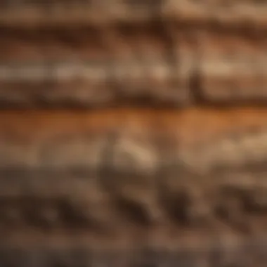 Sedimentary Rock Layers Visual representation of sedimentary rock layers