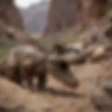 Dinosaur Fossil Discovery in Utah A detailed view of a dinosaur fossil found in Utah