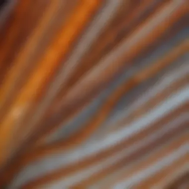 Intricate Banding Patterns in Polished Agate Close-up of a polished agate revealing intricate banding patterns